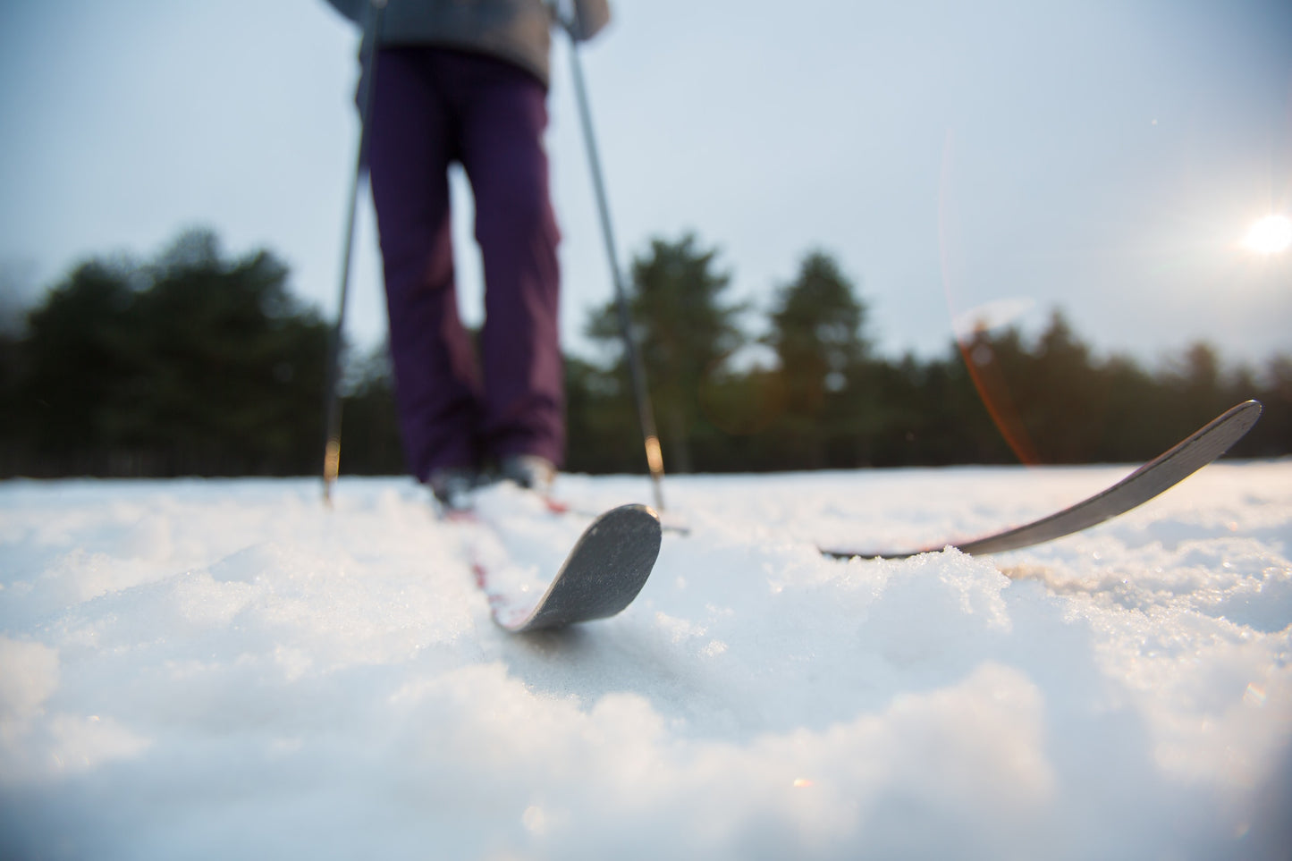 Cross country ski experience (Price per person)