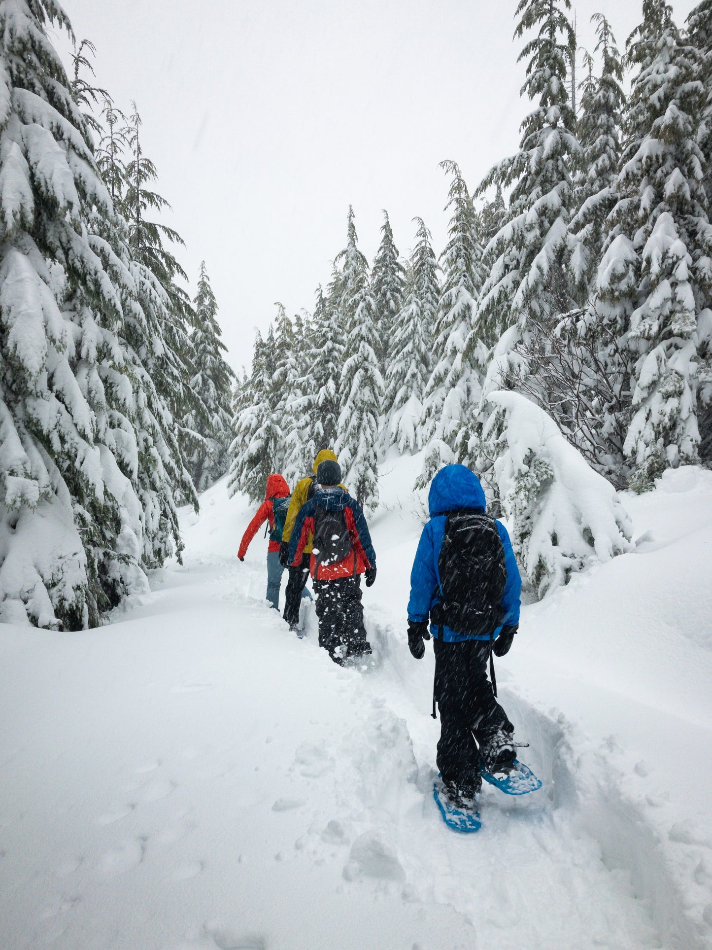 Snowshoeing adventure (Price per person)