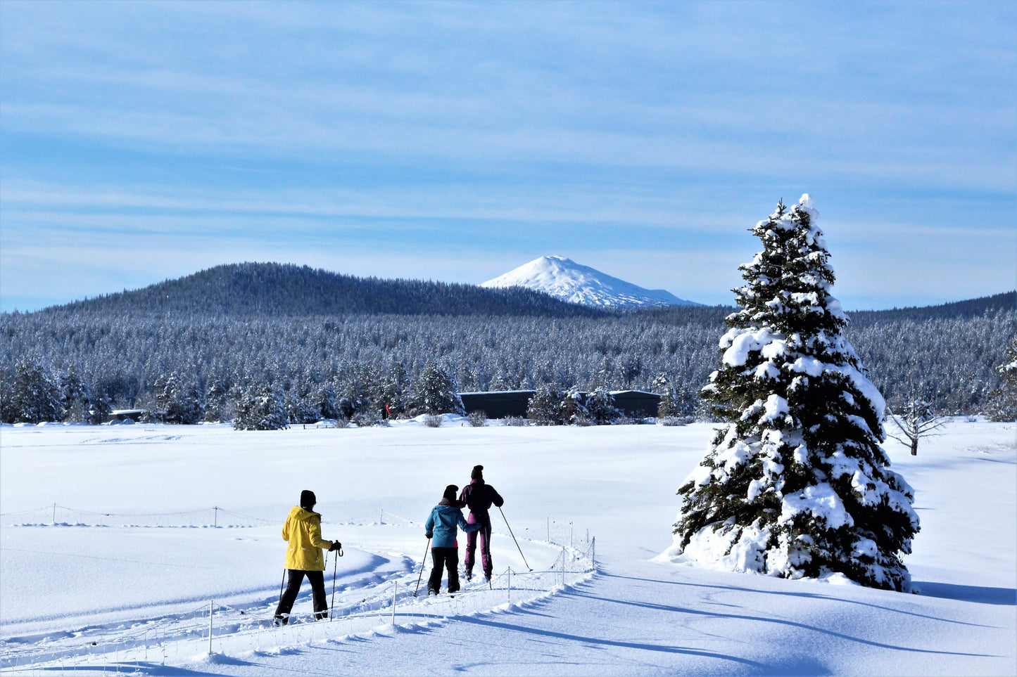 Cross country ski experience (Price per person)