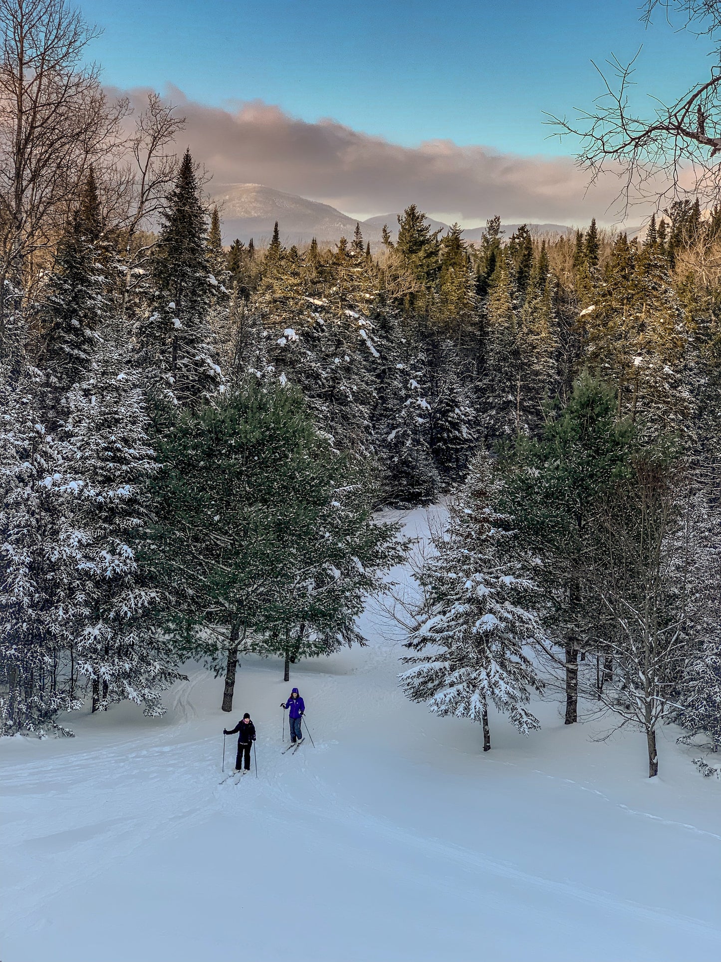 Cross country ski experience (Price per person)