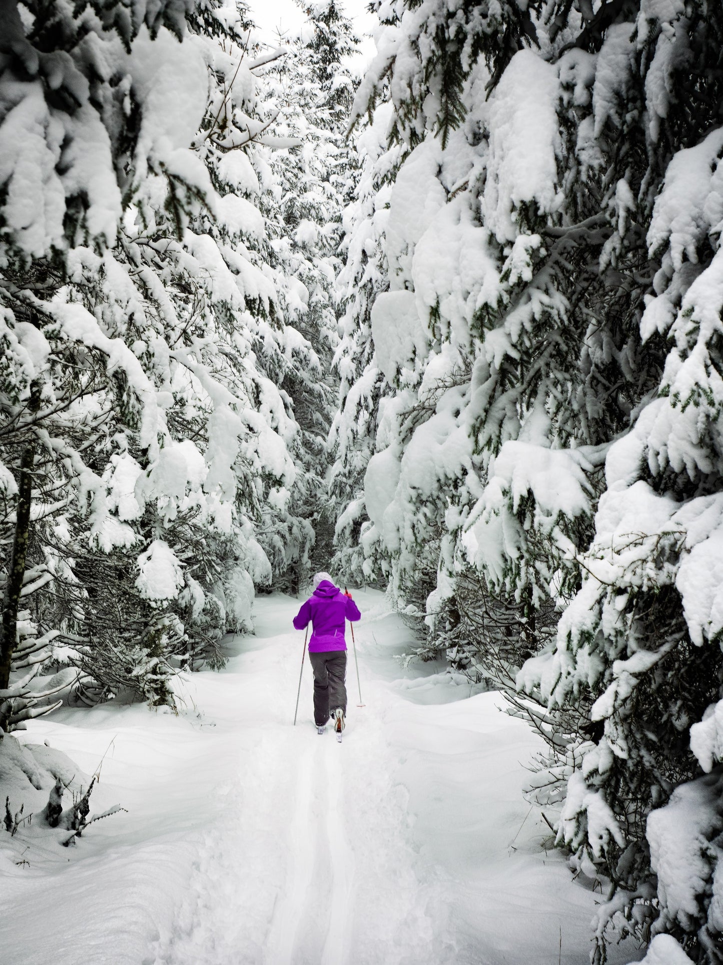 Cross country ski experience (Price per person)