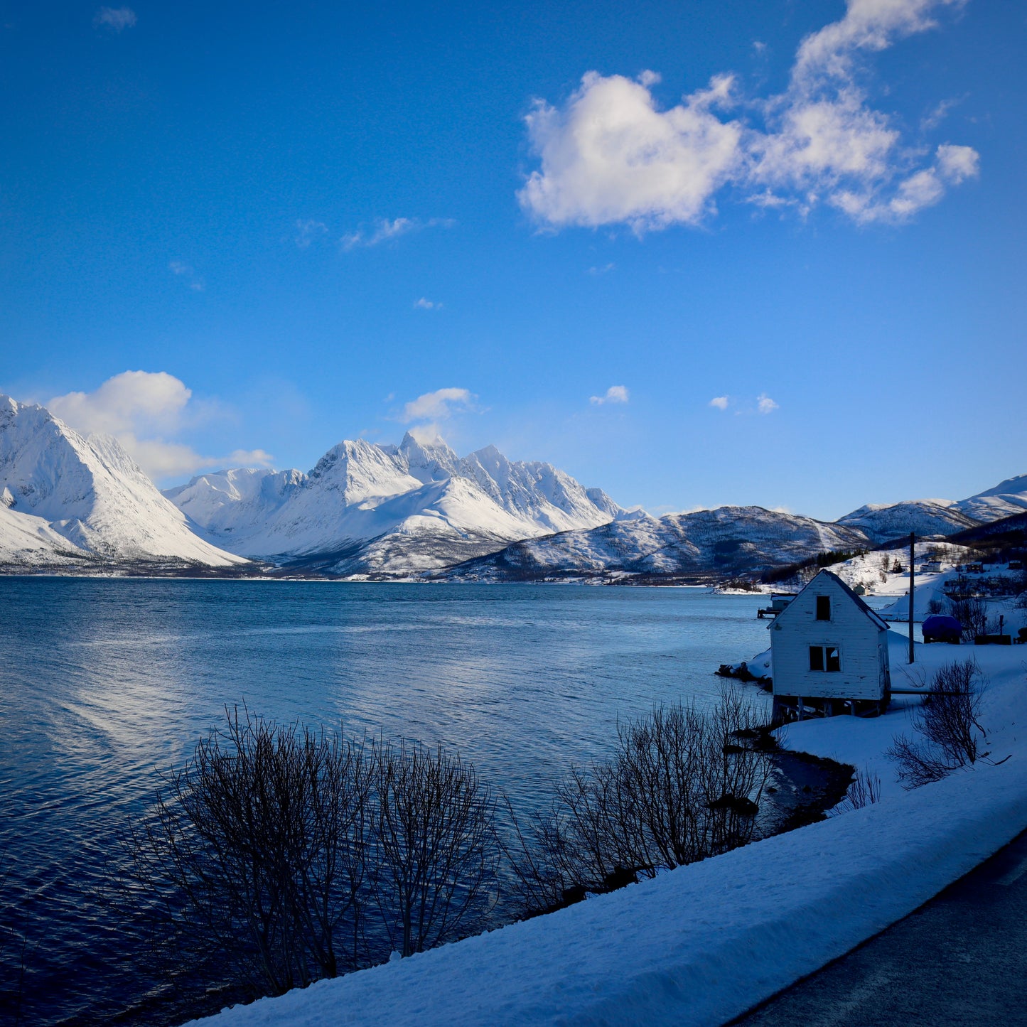 Arctic Daylight Discovery: Coastal Panorama (Price per person)