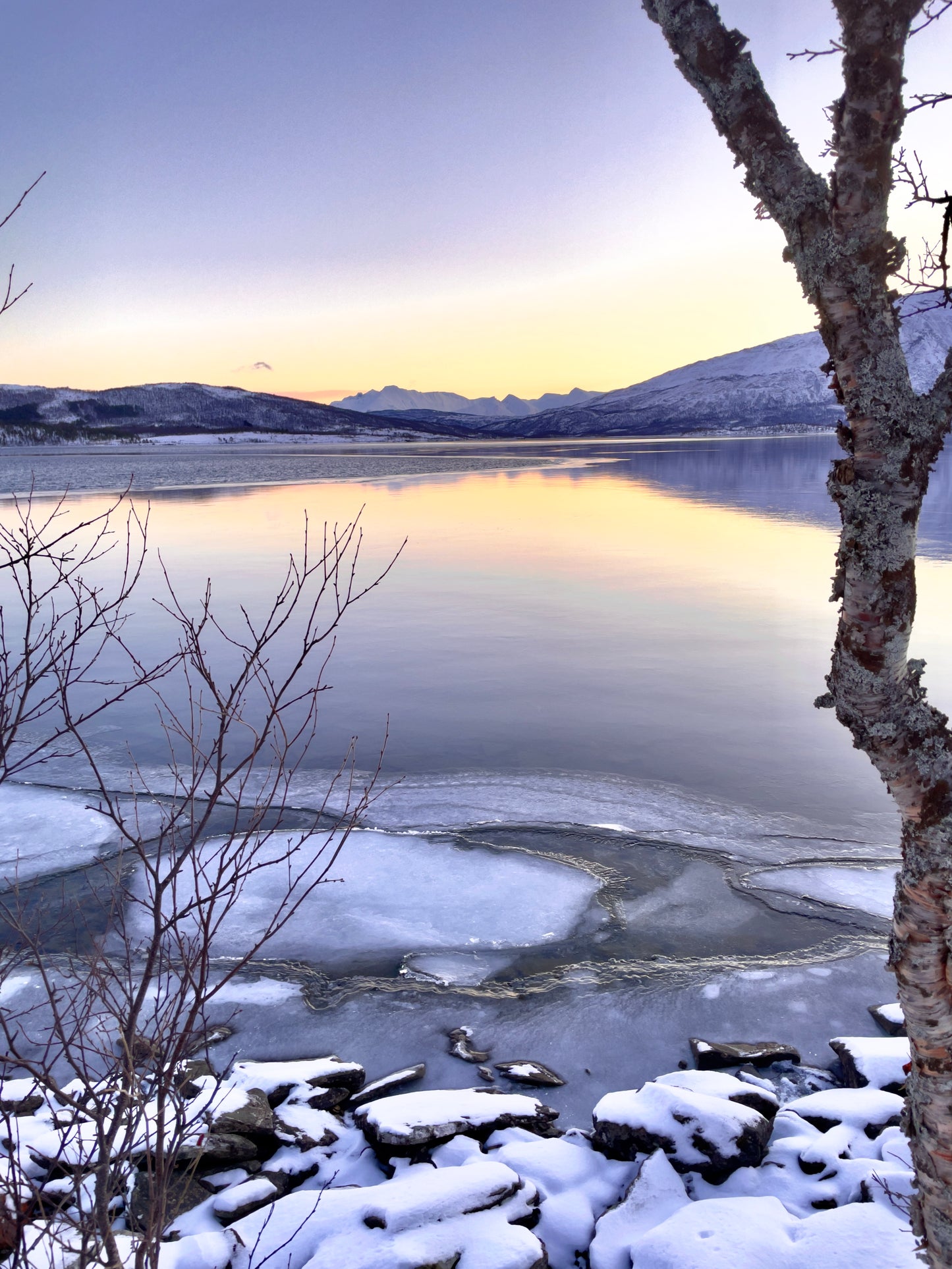 Arctic Daylight Discovery: Coastal Panorama (Price per person)