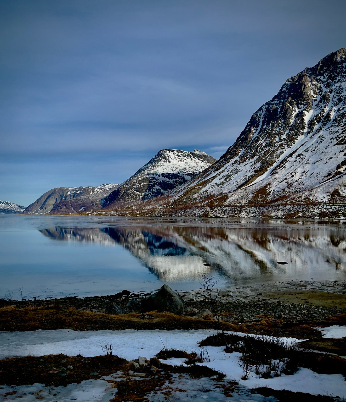 Arctic Daylight Discovery: Coastal Panorama (Price per person)