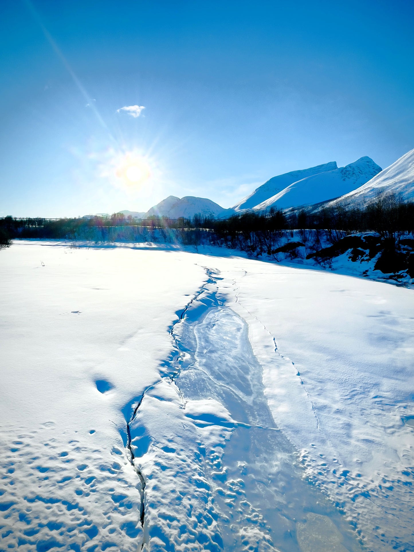 Arctic Daylight Discovery: Coastal Panorama (Price per person)