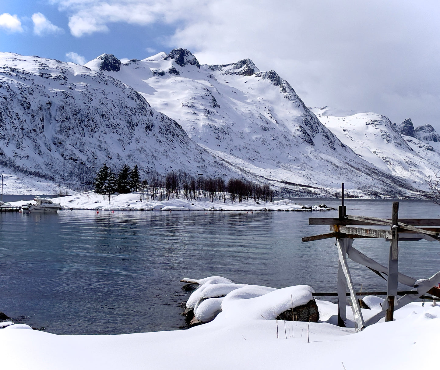 Arctic Daylight Discovery: Coastal Panorama (Price per person)