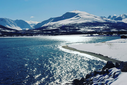 Arctic Daylight Discovery: Coastal Panorama (Price per person)