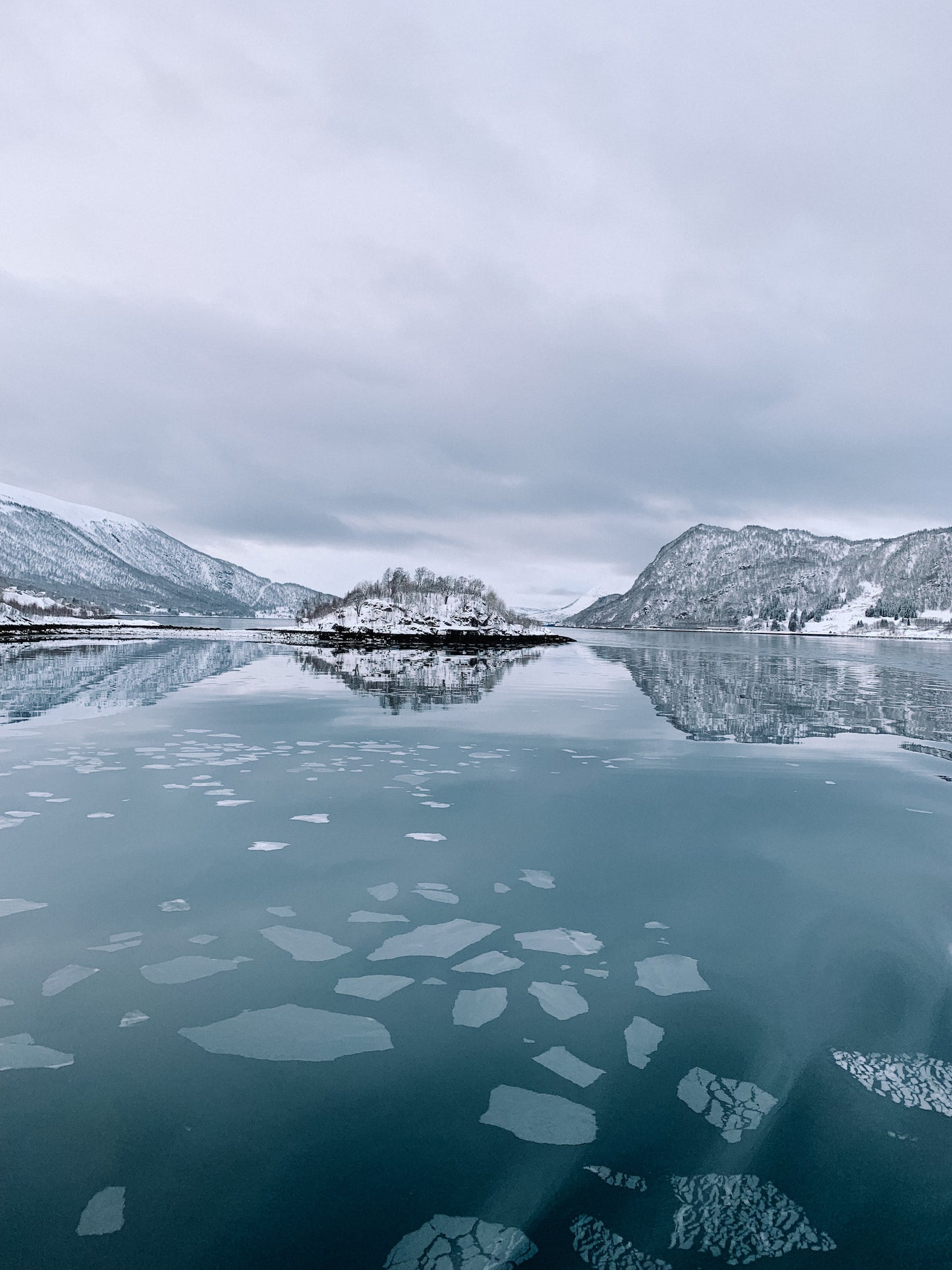 Arctic Daylight Discovery: Coastal Panorama (Price per person)