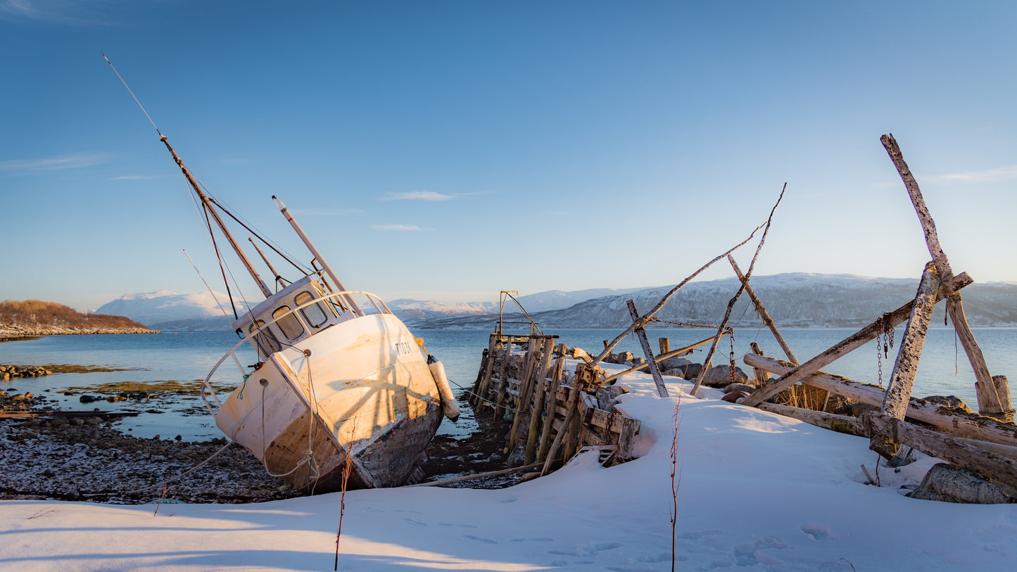 Arctic Daylight Discovery: Coastal Panorama (Price per person)